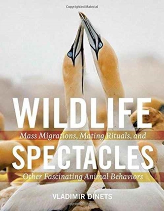 Wildlife Spectacles