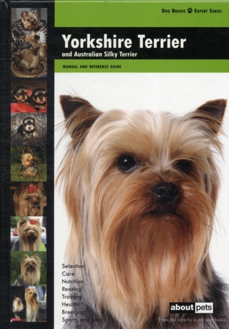 Yorkshire Terrier Yorkshire Terrier