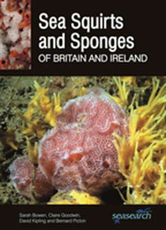 Sea Squirts and Sponges of Britain and Ireland Sea Squirts and Sponges of Britain and Ireland