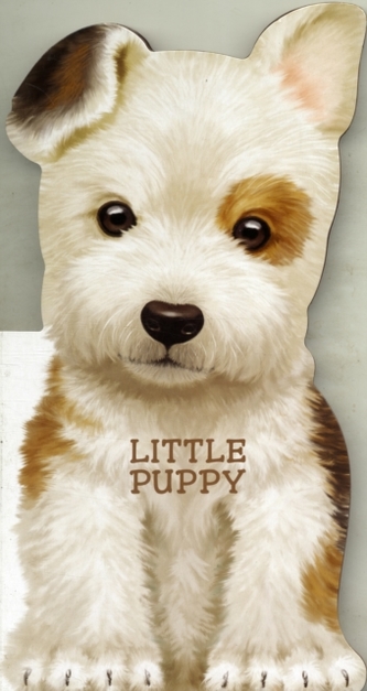 Little Puppy