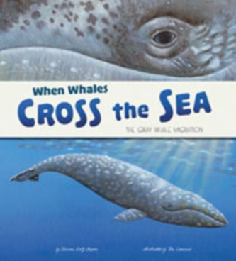 When Whales Cross the Sea
