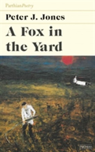 Fox in the Yard