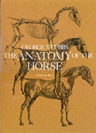 The Anatomy of the Horse The Anatomy of the Horse