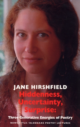 Hiddenness, Uncertainty, Surprise