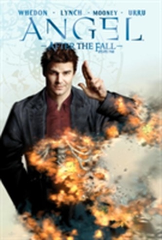 Angel After The Fall Volume 4