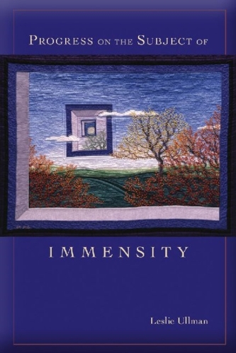 Progress on the Subject of Immensity