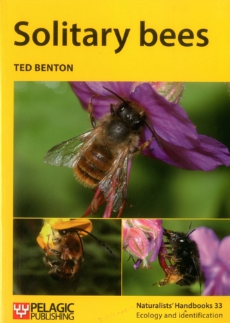 Solitary bees Solitary bees