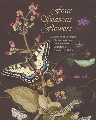 Four Seasons of Flowers - A Selection of Botanical Illustrations from the Rare Book Collection at Dumbarton Oaks Four Seasons of Flowers - A Selection of Botanical Illustrations from the Rare Book Collection at Dumbarton Oaks
