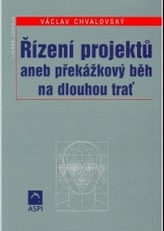 Řízení projektů