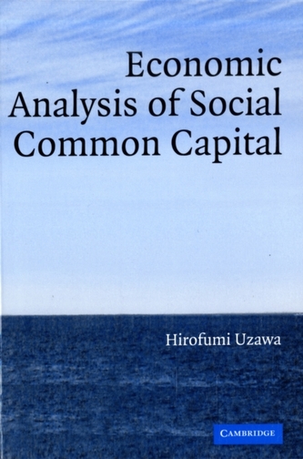 Economic Analysis of Social Common Capital