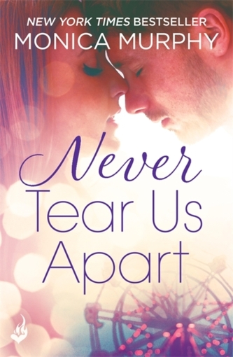Never Tear Us Apart: Never Series 1 Never Tear Us Apart: Never Series 1