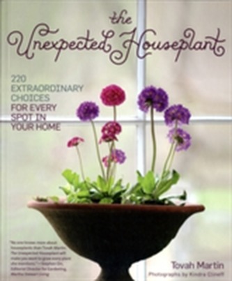 Unexpected Houseplant the Unexpected Houseplant the