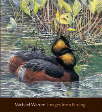Images from Birding