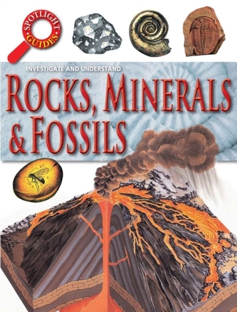 Rocks & Fossils