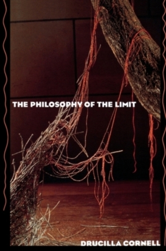 The Philosophy of the Limit The Philosophy of the Limit