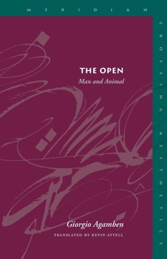 The Open The Open