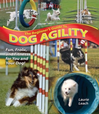 The Beginner's Guide to Dog Agility