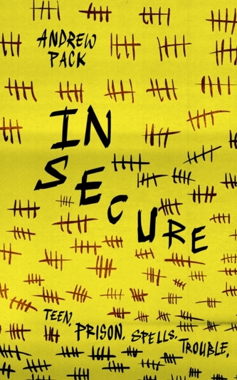 In Secure In Secure