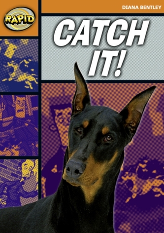 Rapid Starter Level: Catch It!