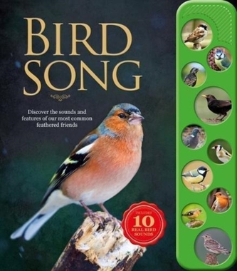 Bird Songs