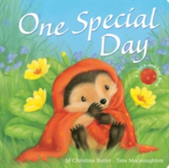 One Special Day One Special Day