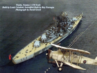 Bismarck and Tirpitz