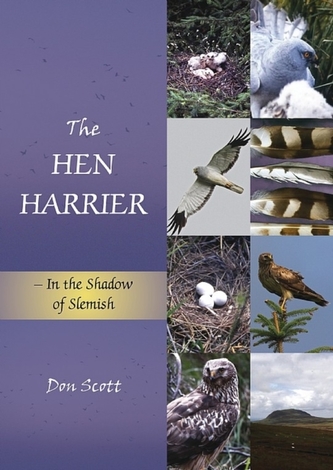 The The Hen Harrier