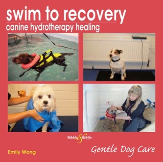Swim to Recovery: Canine Hydrotherapy Healing Swim to Recovery: Canine Hydrotherapy Healing