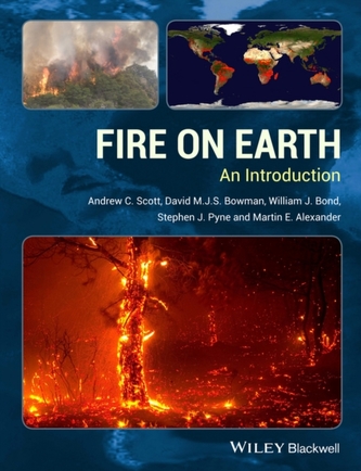 Fire on Earth - an Introduction