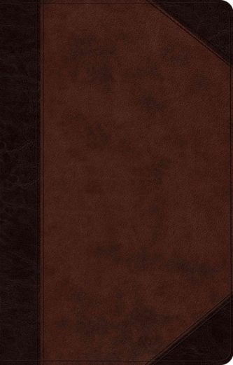 ESV Large Print Thinline Reference Bible