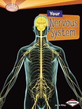 Your Nervous System