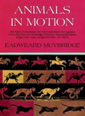 Animals in Motion