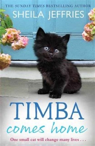 Timba Comes Home Timba Comes Home