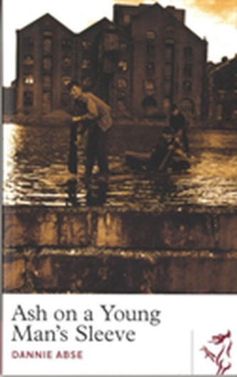 Ash on a Young Man's Sleeve