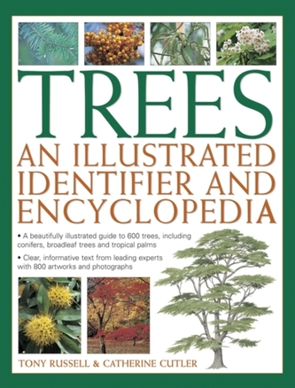 Trees: An Illustrated Identifier and Encyclopedia