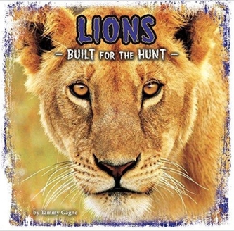 Lions Lions