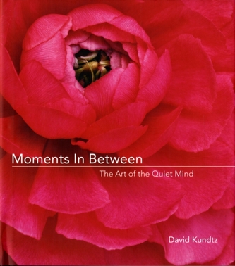 Moments in Between