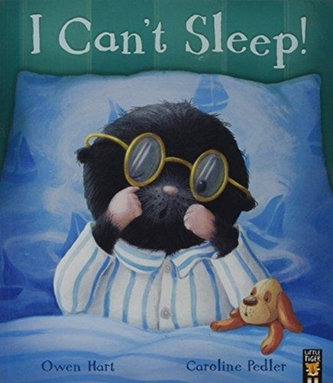 I Can't Sleep! I Can't Sleep!