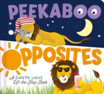 Peekaboo Opposites Peekaboo Opposites