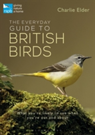 The Everyday Guide to British Birds