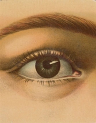 John Derian Picture Book