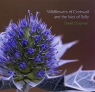 Wildflowers of Cornwall and the Isles of Scilly