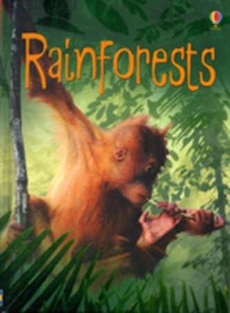 Rainforests