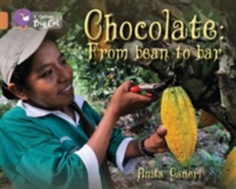 Chocolate: from Bean to Bar