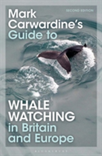 Mark Carwardine's Guide To Whale Watching In Britain And Europe