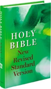 New Revised Standard Version Bible