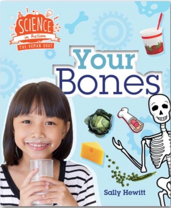 Human Body: Your Bones