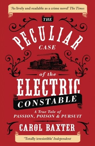 The Peculiar Case of the Electric Constable