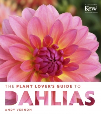Plant Lovers  Guide to Dahlias Plant Lovers  Guide to Dahlias