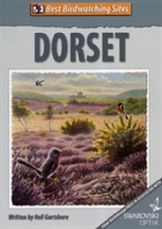Best Birdwatching Sites: Dorset